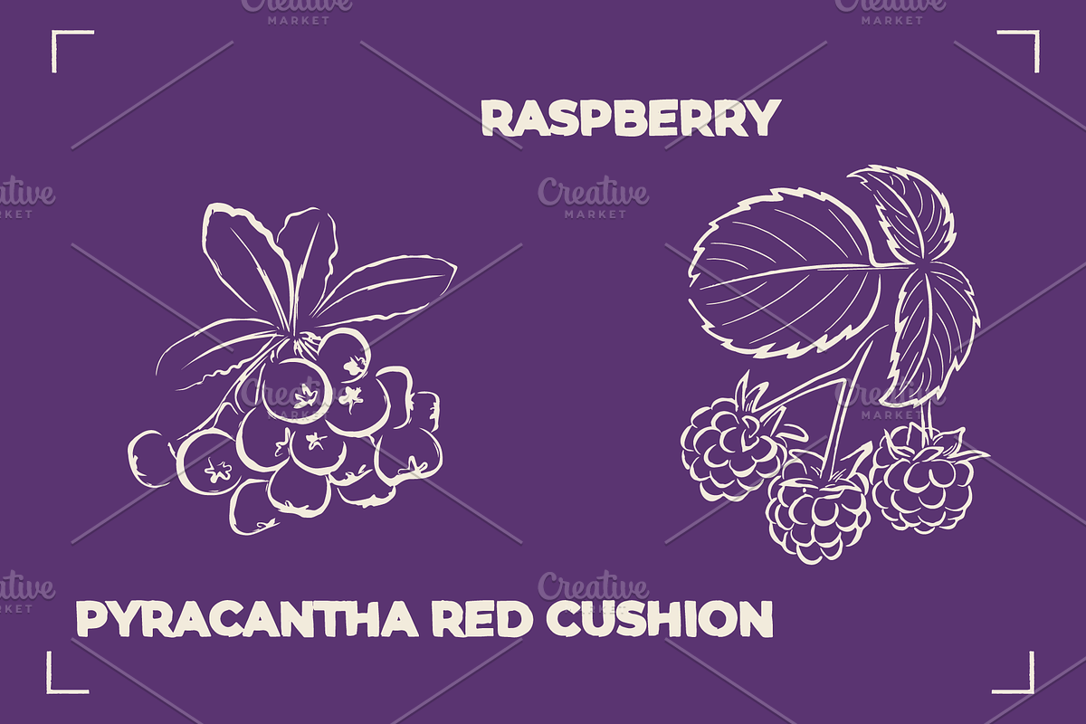 BERRY LINE ART SET (20 elements), a Food Illustration by Bonfloret Studio (Photo 9 of 9)