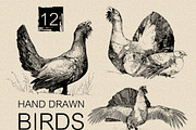 12 Hand drawn birds, an Animal Illustration by Daria Maier (Thumbnail 1 of 5)