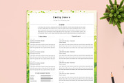 Water Color CV-Resume Tempalate *C, a Resume Template by Showy68 Template (Thumbnail 3 of 3)