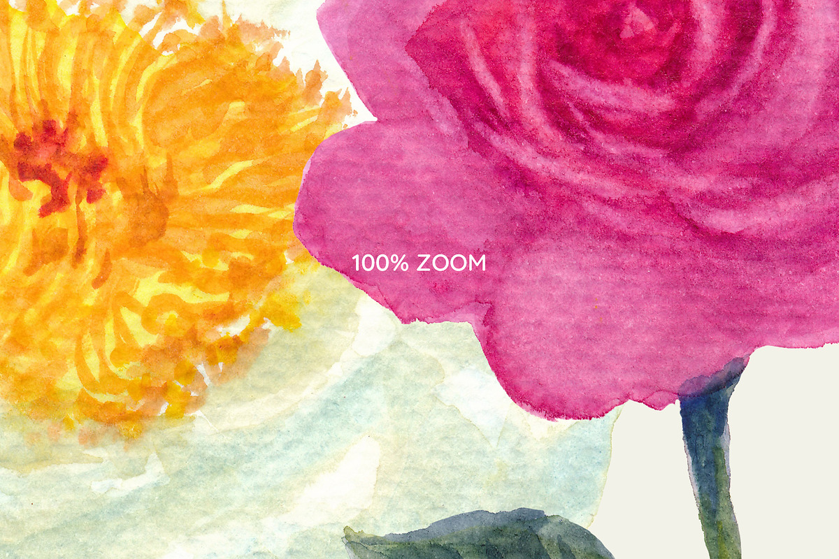 Watercolor Flower Garden, a Decorative Illustration by Manimanisa (Photo 13 of 13)
