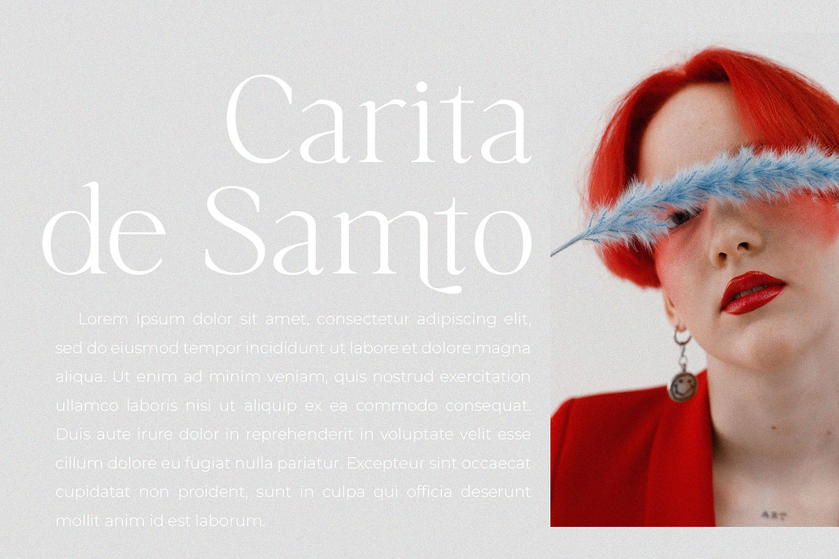 Saufonica - Modern Elegant Serif, a Serif Font by Jimoji (Photo 4 of 11)