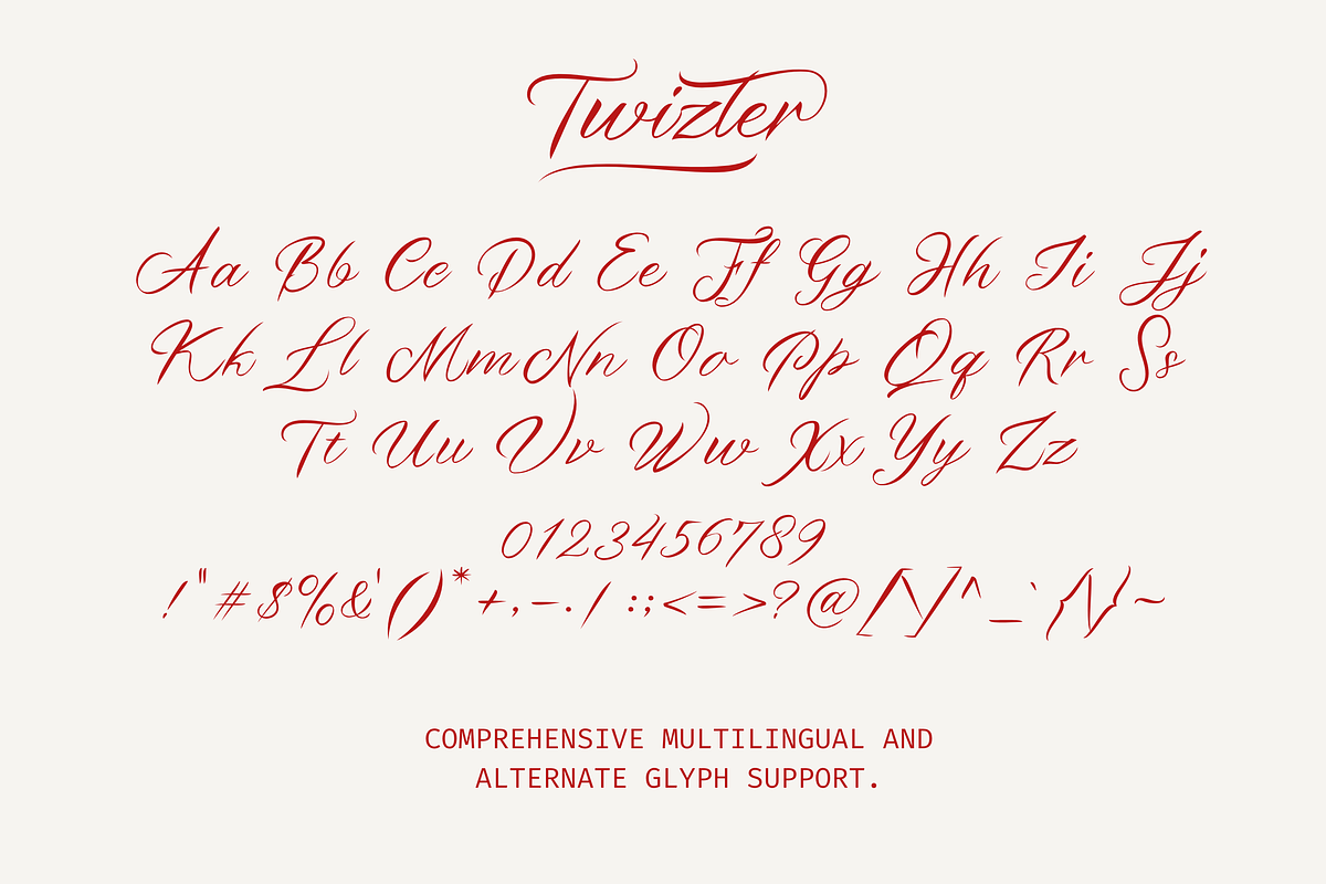 Twizler, a Script Font by Gatype (Photo 9 of 11)