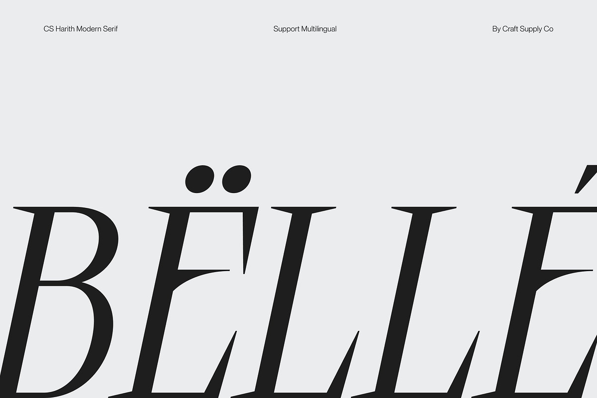 CS Harith – Modern Serif Font, a Serif Font by Craft Supply Co. (Photo 7 of 8)