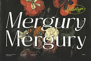 Mergury, a Sans Serif Font by Nathatype (Thumbnail 1 of 10)