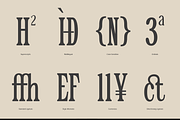 TRT Epic Dope – Condensed Serif, a Serif Font by truetype (Thumbnail 5 of 10)
