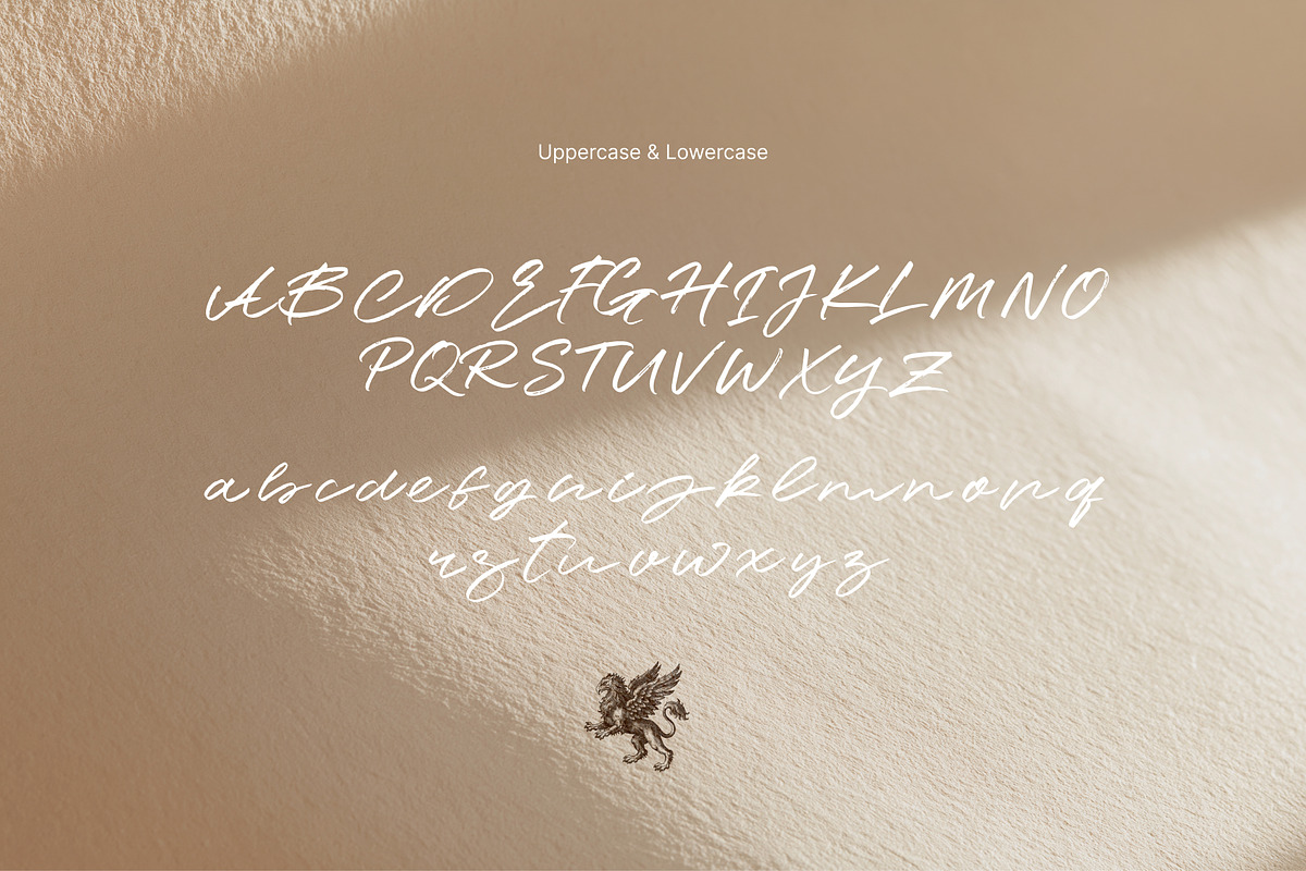 Rawwelle Handwritten Script, a Handwritten Font by kavoon (Photo 3 of 11)
