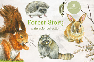 Forest Story Watercolor Collection