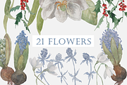Winter Wildflowers, an Illustration by Elisa Ursa (Thumbnail 2 of 7)