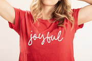 Luminous Polish Font, a Script Font by Timurtype (Thumbnail 5 of 7)