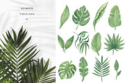 Watercolor Tropical Leaves, a Decorative Illustration by MayaNavits (Thumbnail 2 of 12)