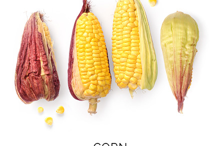 Corn