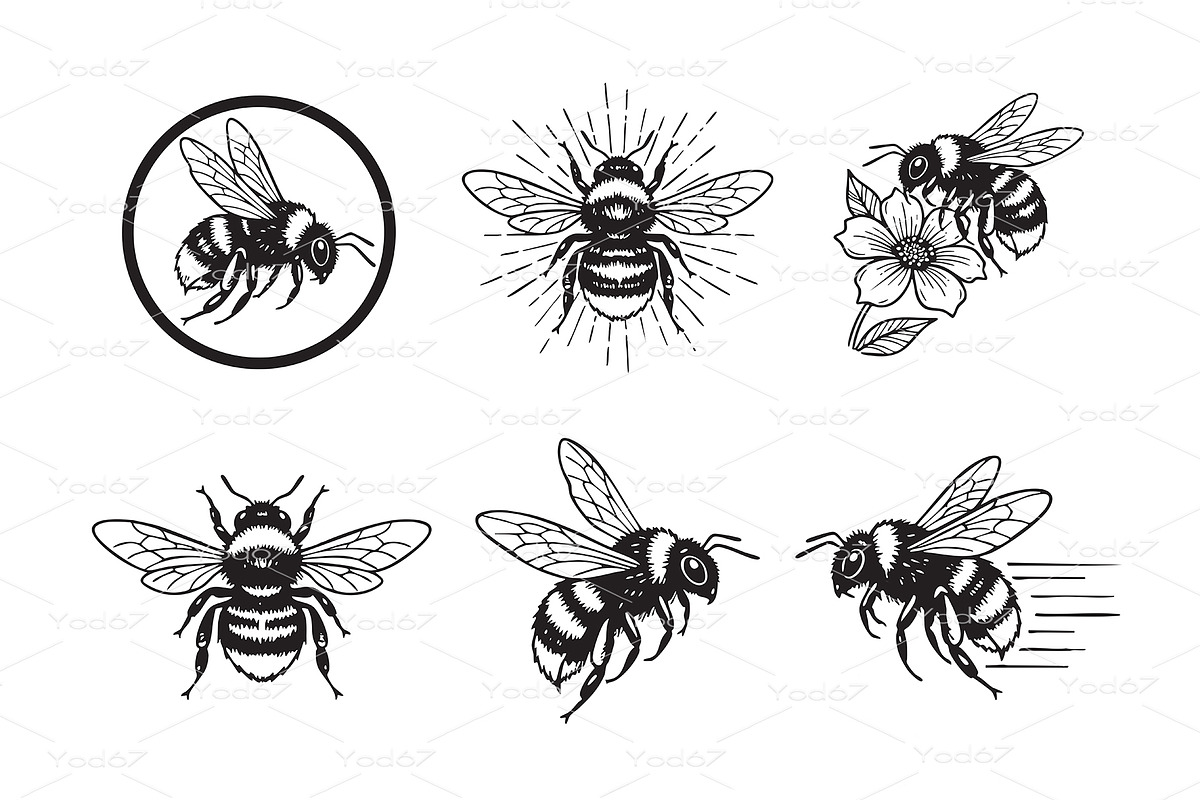 Charming set of bumble bee vector, an Animal Illustration by yod67