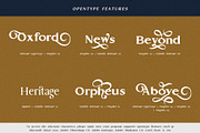 Gold Leaf, a Serif Font by Fontsgood (Thumbnail 6 of 12)