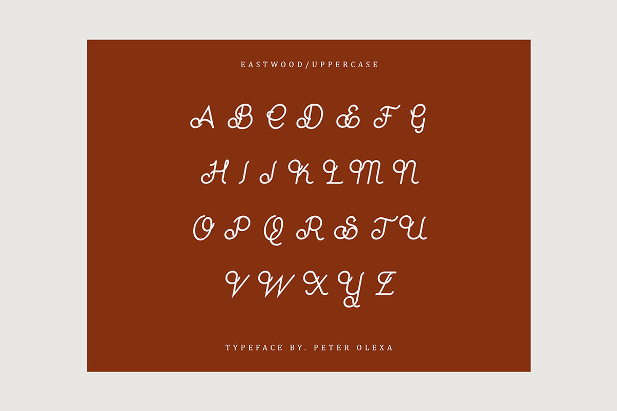 Eastwood Retro Monoline Script, a Script Font by Deeezy (Photo 3 of 6)
