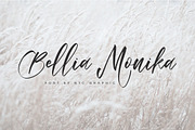 Bellia Monika Elegant Script Font, a Script Font by NTC Graphic (Thumbnail 1 of 8)