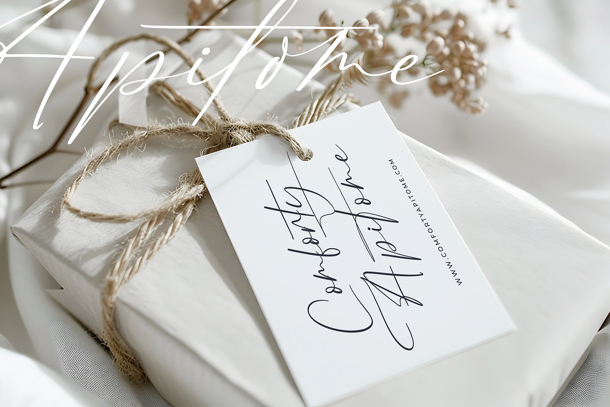 Brington Australi Stylish Signature, a Script Font by stylishtype.co (Photo 8 of 20)