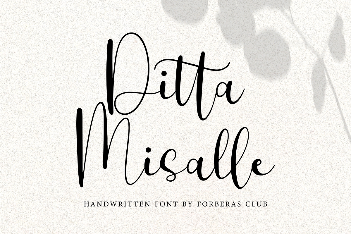 Ditta Misalle, a Script Font by Forberas Club (Photo 1 of 6)