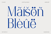 CS Caliope – Aesthetic Font, a Serif Font by Craft Supply Co. (Thumbnail 5 of 8)