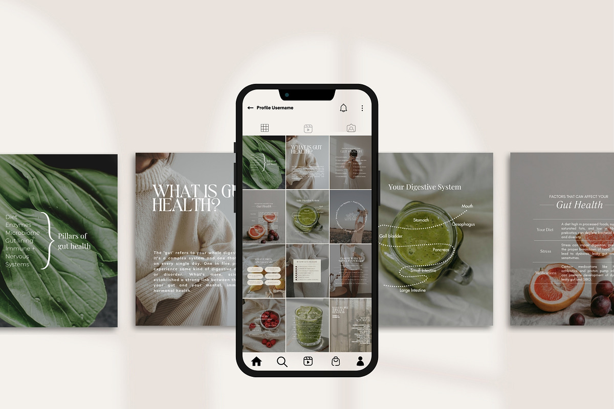 Holistic Gut Instagram Canva, a Social Media Template by Naturopath Hub (Photo 5 of 5)