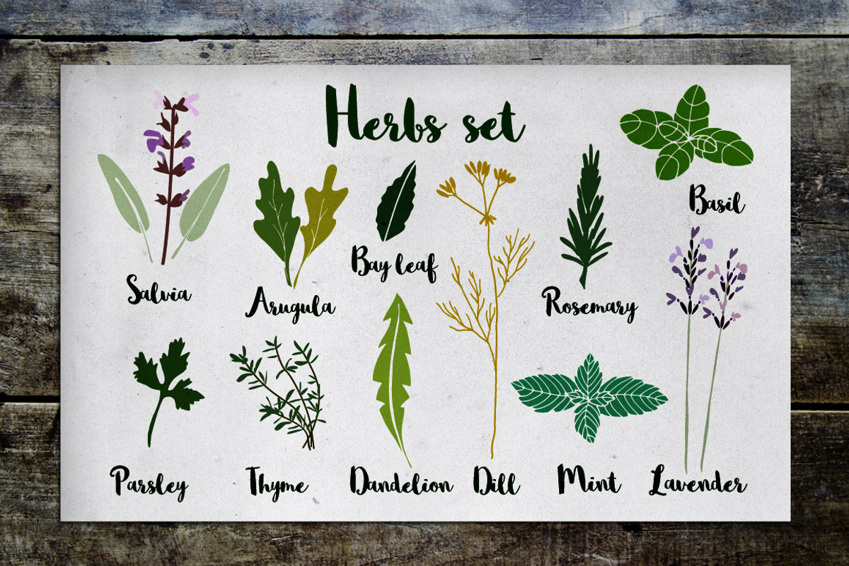 Herbs set, a Food Illustration by Tabita's shop (Photo 1 of 5)