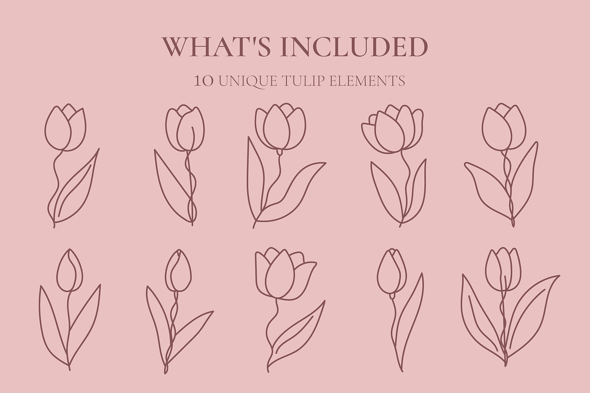 TULIP LINE ART, a Decorative Illustration by OREHOVKA (Photo 2 of 4)