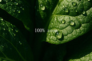 Green & Fresh — food photography, a Food & Drink Photo by DreamoraArt (Thumbnail 8 of 8)