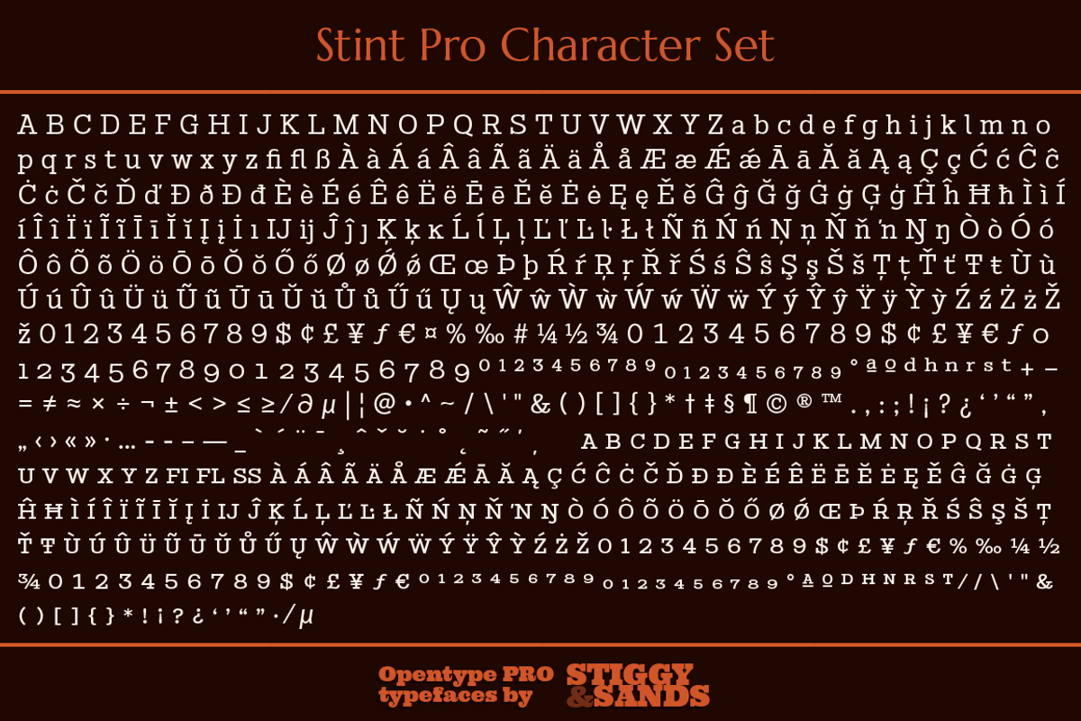 Stint Pro Family preview 5