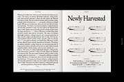 Product Brand Magazine Template⸻Clay, a Magazine Template by Studio Viita (Thumbnail 3 of 11)