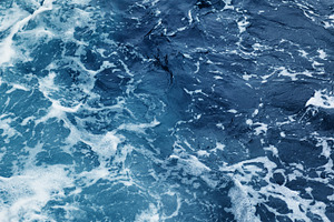 Rippled ocean waves featuring ocean, wave, and water, a Nature Photo by AlexZaitsev