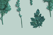Azure Pressed Botanical PNG Pack, an Object Graphic by Custom Scene (Thumbnail 7 of 8)