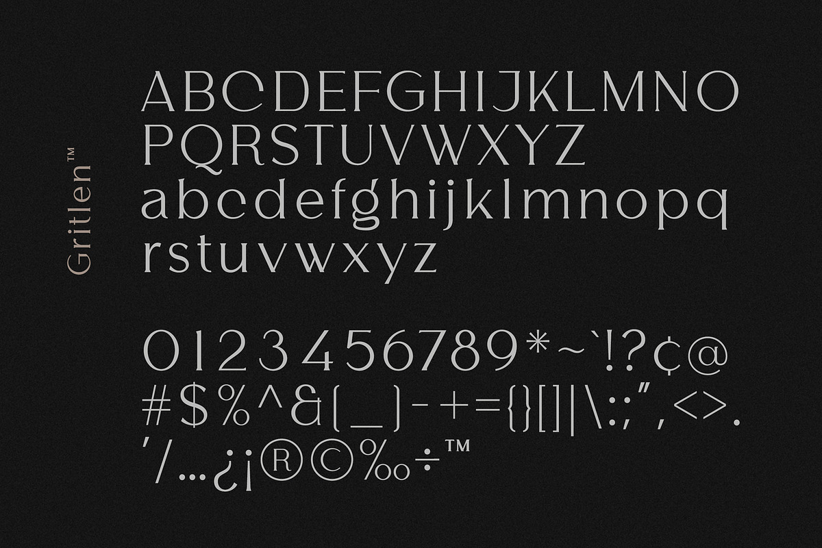 Gritlen, a Serif Font by OWL KING (Photo 4 of 8)