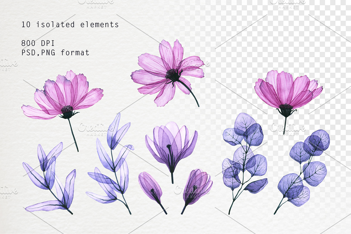 Transparent flora. Watercolor set, a Decorative Illustration by Ola_Vola (Photo 2 of 10)