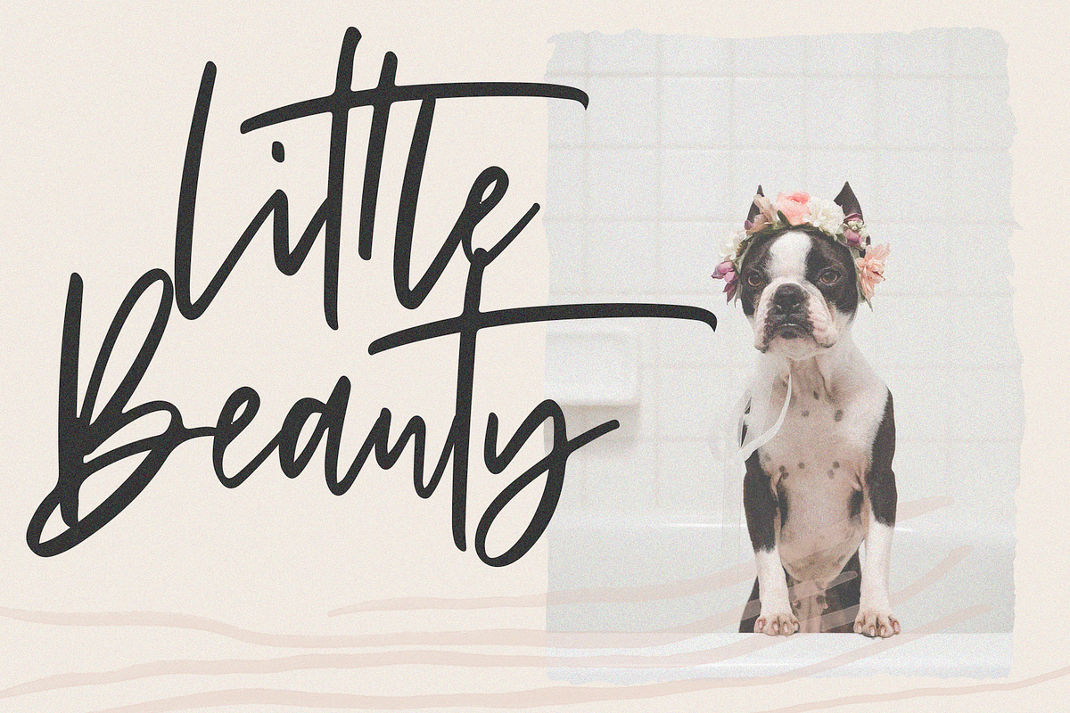 Sandcastle - Handwritten Script Font preview 8