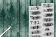 Procreate Forest Background Textures, a Brush Add-On by HopeArtIllustration (Thumbnail 5 of 9)