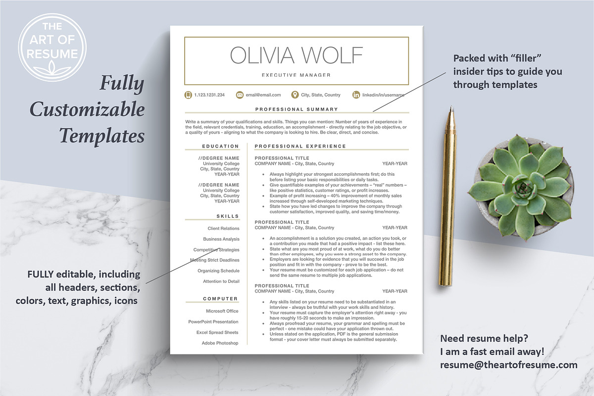 Free Resume CV Template | Professional Executive Resume preview 3