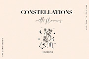 Zodiac constellations with flowers, an Illustration by Art Dari Autumn (Thumbnail 8 of 8)
