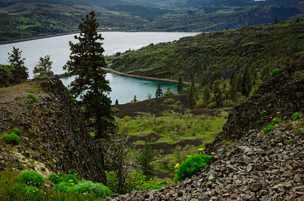 View from the Gorge, a Nature Photo by courtneytheim photography