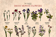 Birth Month Flowers Handcrafted, a Decorative Illustration by Ink Stories (Thumbnail 2 of 15)