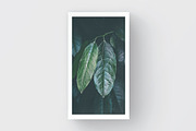 GEOLUNA3 Business Card Template, a Business Card Template by TheOutcrop (Thumbnail 2 of 6)