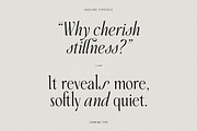 Aveline, Soft Serif with Ligatures, a Serif Font by CarmineType (Thumbnail 12 of 28)