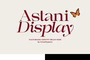 Astani Display, a Serif Font by InkwellTypeCo (Thumbnail 12 of 17)