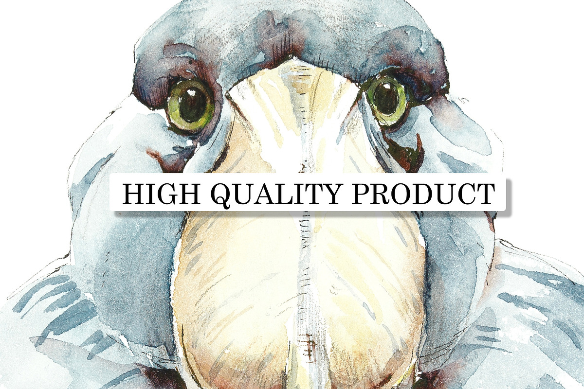 Watercolor Sketches Shoebill, an Animal Illustration by Budogoshch (Photo 5 of 6)