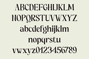 Grispily, a Serif Font by Black Studio (Thumbnail 5 of 16)