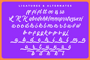 Honeybloom – Timeless Brush Script, a Script Font by Almarkhatype (Thumbnail 10 of 11)