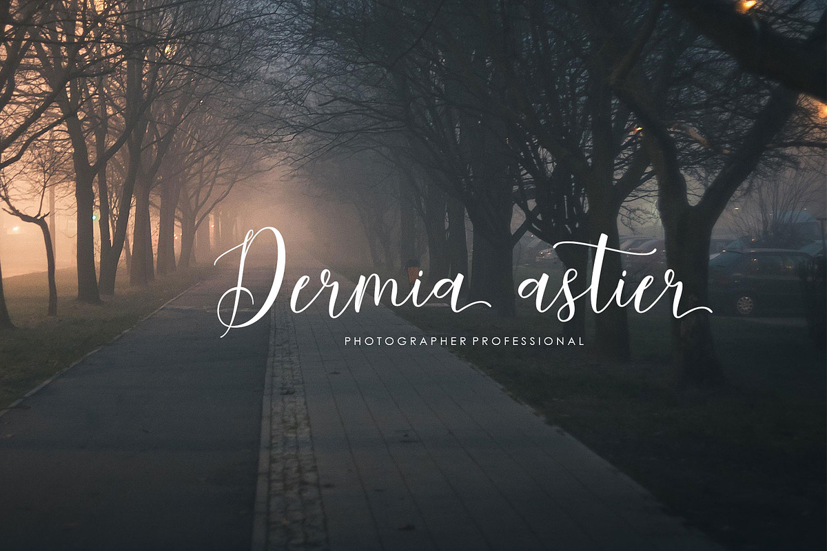 Constant script, a Script Font by Artic Type (Photo 5 of 6)