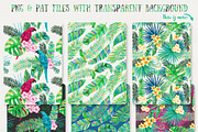 Tropical Vibes, Seamless Patterns, a Pattern Graphic by Stella's Graphic Supply (Thumbnail 2 of 4)