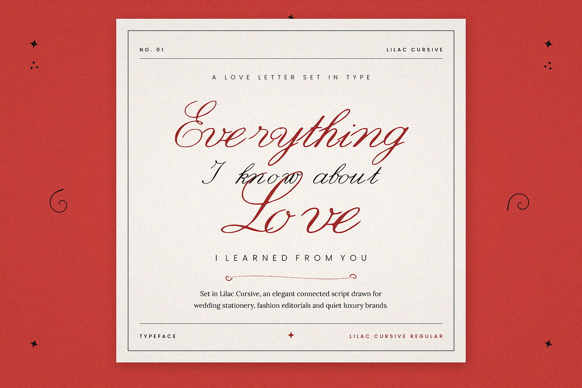 Lilac Cursive, a Handwritten Font by Lilithcollageart (Photo 7 of 9)
