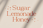 Moeda Luxury Serif Font, a Serif Font by Creavora (Thumbnail 2 of 15)