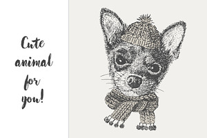 dog in a knitted cap and scarf