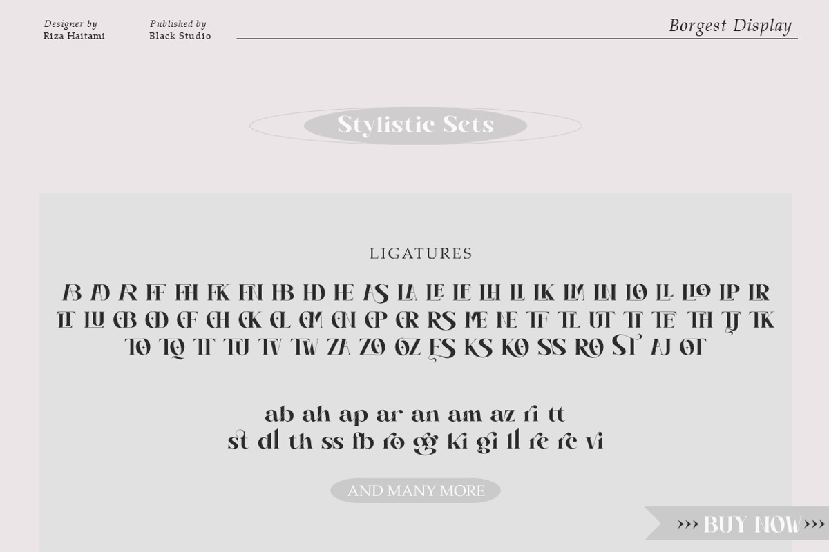 Borgest Display, a Serif Font by Black Studio (Photo 6 of 15)